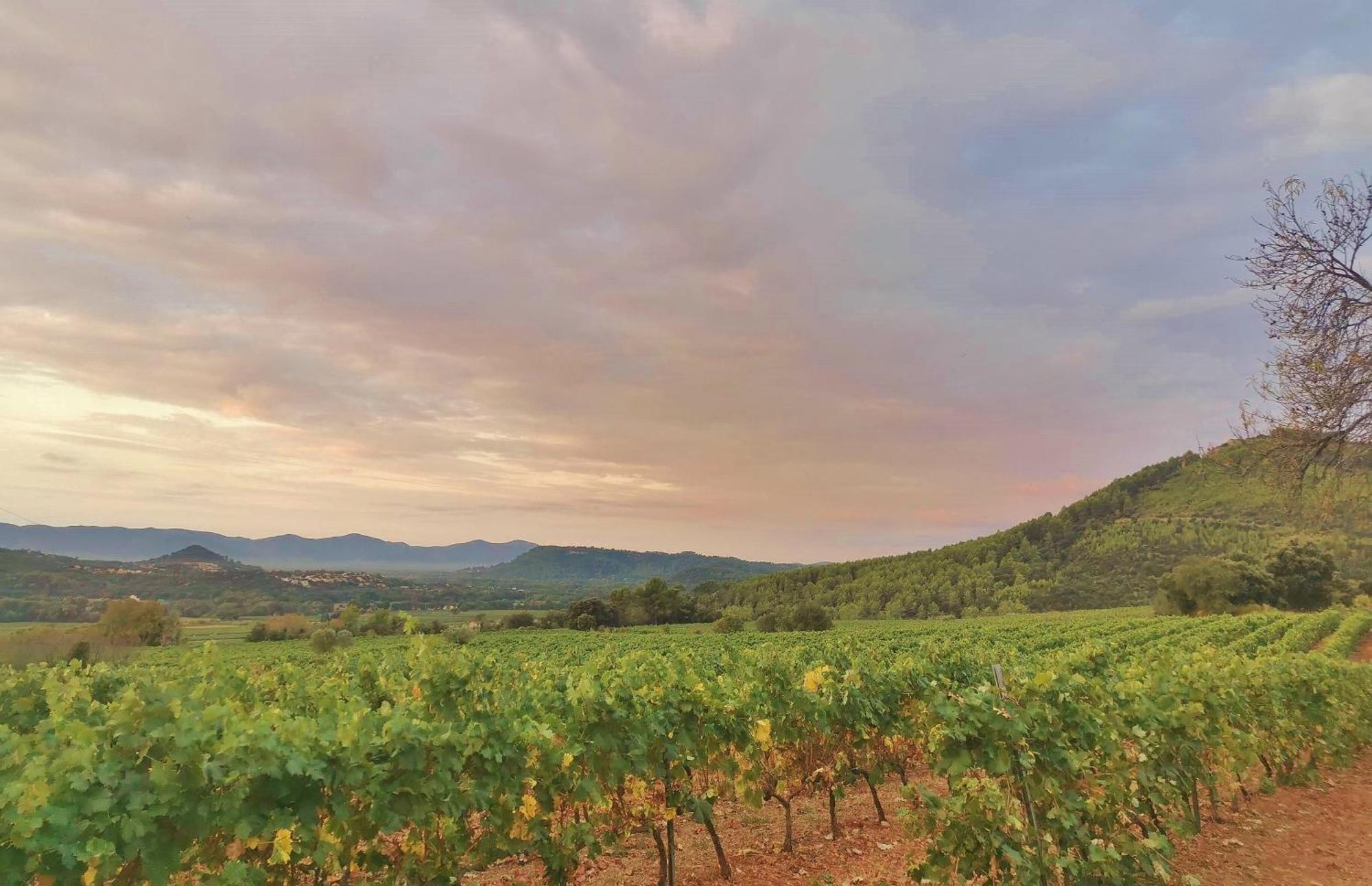 Le Nid En Chante Vue Panoramique Les Arcs-sur-Argens Extérieur photo